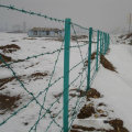 Low Price Galvanized&PVC Coated Barbed Wire Fencing